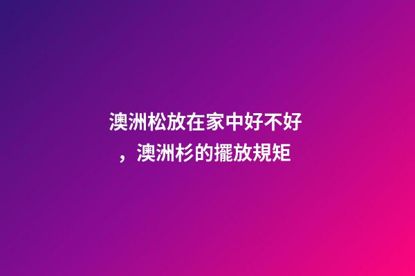 澳洲松放在家中好不好，澳洲杉的擺放規矩